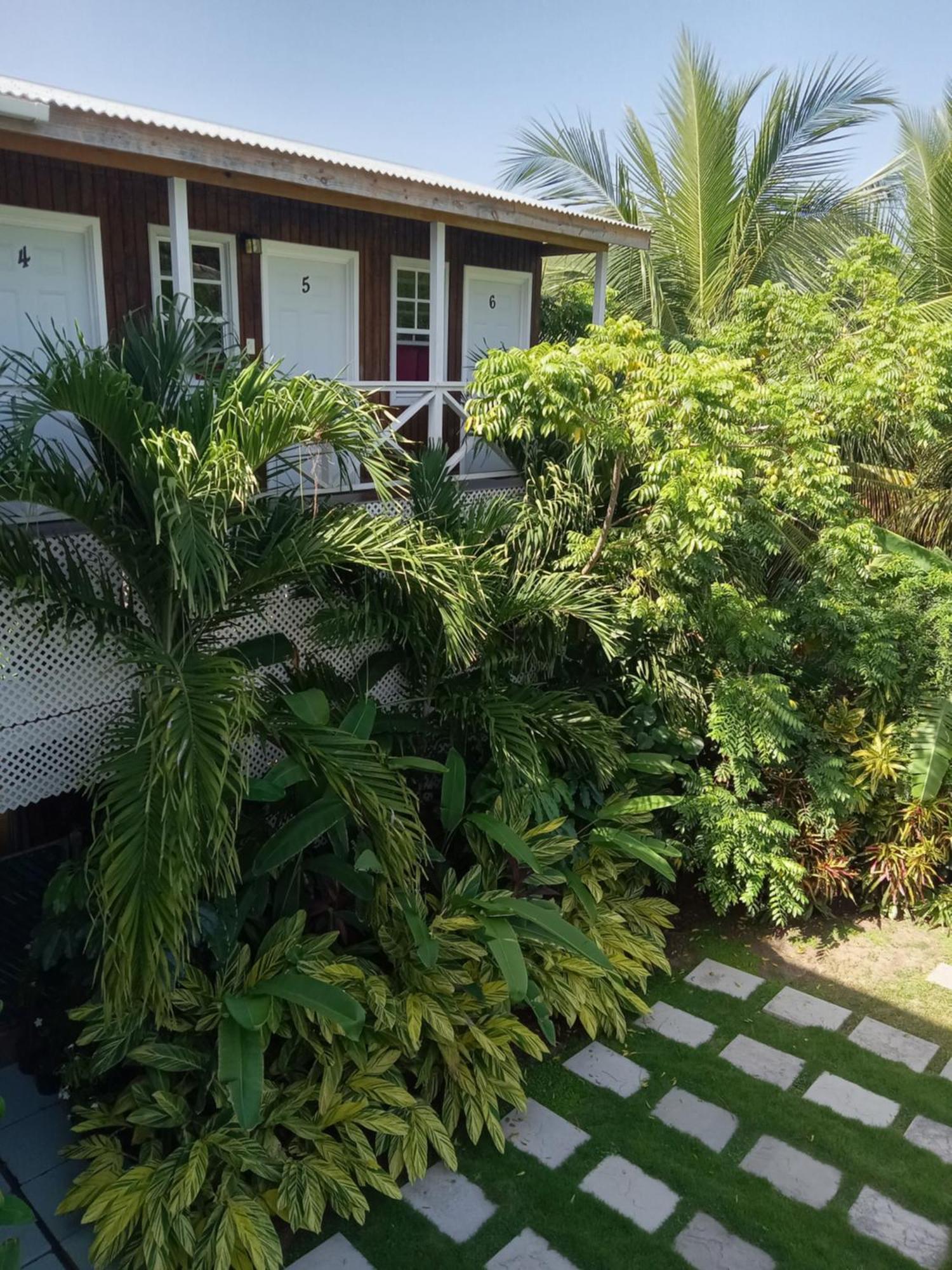 Apartment Unforgetable Gardens Falmouth Harbour ภายนอก รูปภาพ