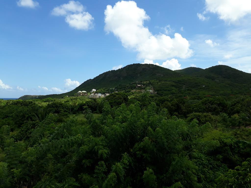 Apartment Unforgetable Gardens Falmouth Harbour ภายนอก รูปภาพ