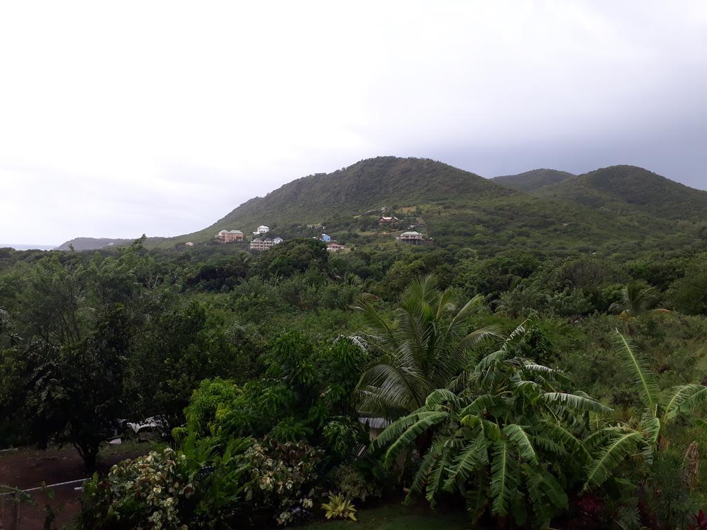 Apartment Unforgetable Gardens Falmouth Harbour ภายนอก รูปภาพ